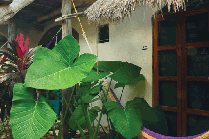 Guest rooms at Hotel Kin Ha Pueblo have a hammock